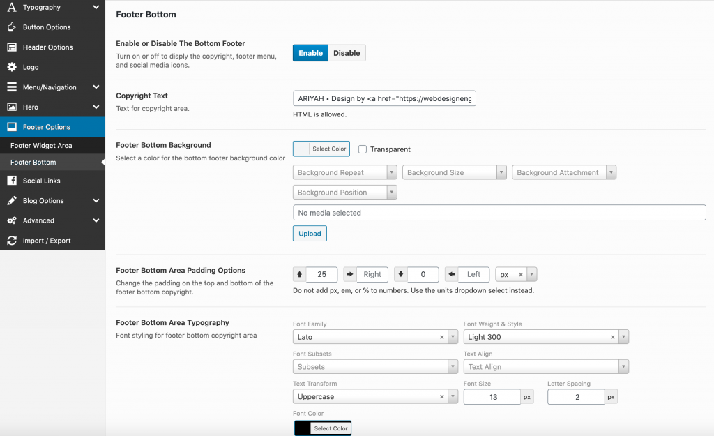 Footer Bottom Options