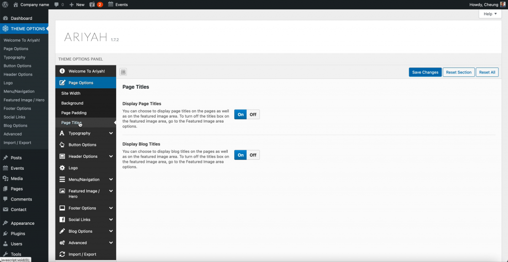 Ariyah Theme Page Titles Options