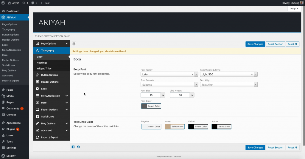 Ariyah theme options typography settings